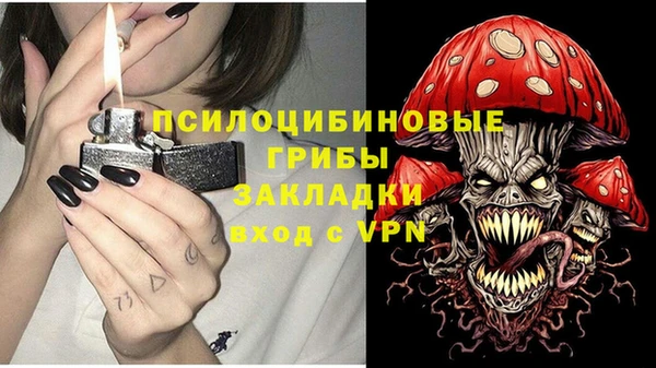 твердый Арсеньев