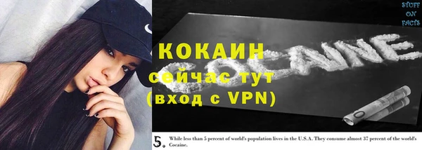 твердый Арсеньев