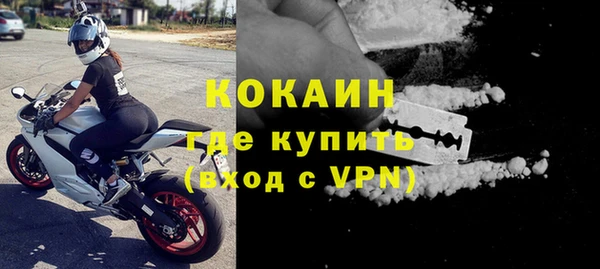 твердый Арсеньев