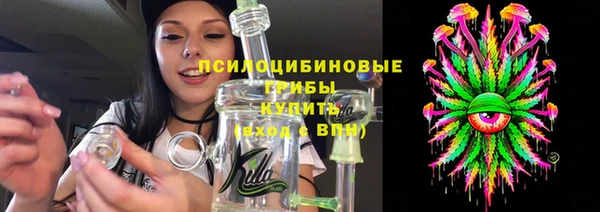 твердый Арсеньев