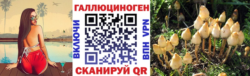 Псилоцибиновые грибы мухоморы  hydra онион  Ветлуга  купить наркоту 